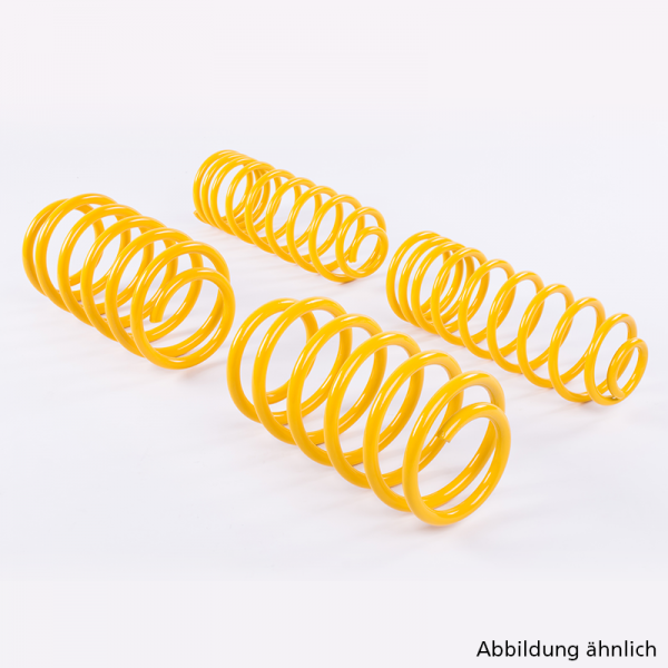 ST st lowering sport springs lowering springs | RENAULT